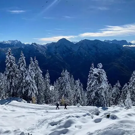 Wiesenbauer - Chiemgau Karte Apartmán Inzell